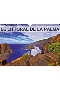 Littoral De La Palma 2018