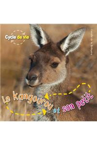 Cycle de Vie: Le Kangourou Et Son Petit