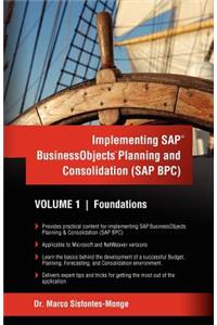 Implementing SAP Business Objects Planning and Consolidation (SAP BPC)