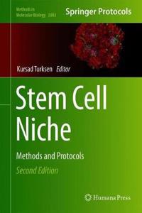 Stem Cell Niche