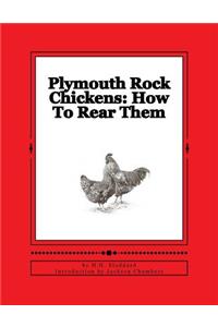 Plymouth Rock Chickens