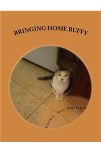 Bringing Home Buffy