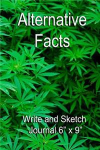 Alternative Facts - Write and Sketch Journal 6