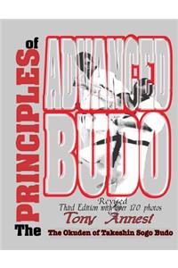 Principles of Advanced Budo