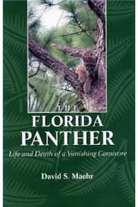 The Florida Panther