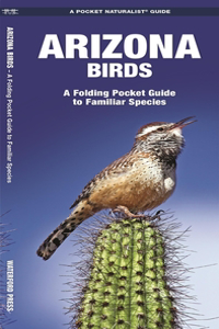 Arizona Birds