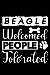 Beagle Welcome People Tolerated