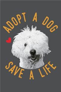 Adopt A Dog Save A Life