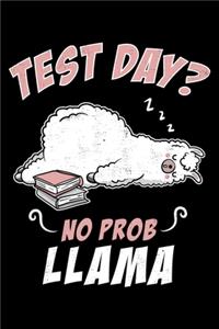 Test Day? No Prob Llama