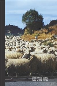 road sheep notes