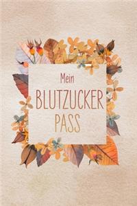 Mein Blutzuckerpass