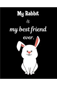 My rabbit is my best friend ever.