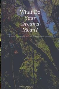 What Do Your Dreams Mean?: A Reflection Journal of Your Dreamstate Experiences