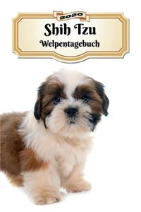 2020 Shih Tzu Welpentagebuch