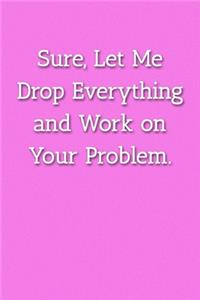 Sure, Let Me Drop Everything and Work on Your Problem. Notebook