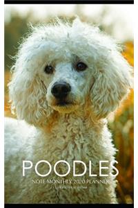 Poodles Note Monthly 2020 Planner 12 Month Calendar