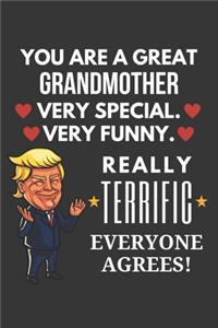 You Are A Great Grandmother Very Special Very Funny Really Terrific Everyone Agrees! Notebook