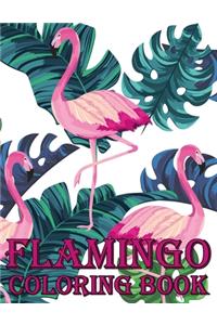 Flamingo Coloring Book