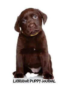 Labrador Puppy Journal