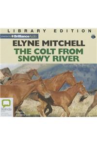 The Colt from Snowy River