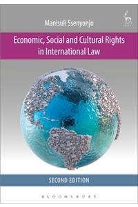 Economic, Social and Cultural Rights in International Law