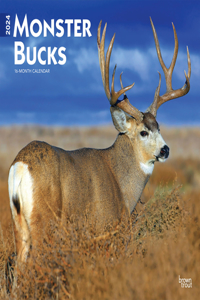 Monster Bucks 2024 Square