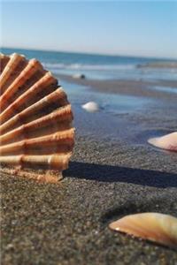Beach Shells Notebook