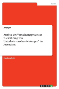 Analyse des Verwaltungsprozesses 