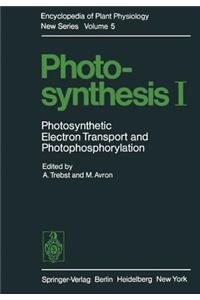 Photosynthesis I