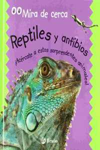 Reptiles Y Anfibios/reptiles And Amphibians