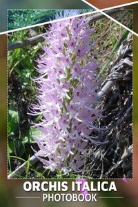 Orchis Italica Photo Book