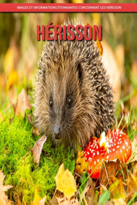 Hérisson