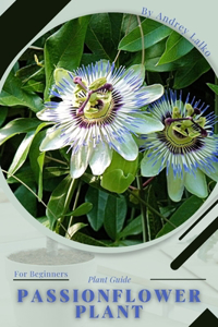 Passionflower Plant