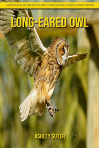 Long-eared owl
