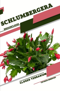 Schlumbergera