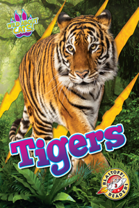 Tigers