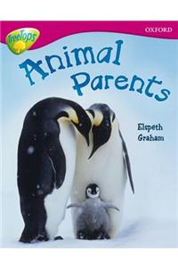 Oxford Reading Tree: Level 10A: TreeTops More Non-Fiction: Animal Parents