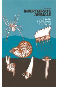 Guide to Invertebrate Animals