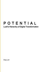 Potential | Lush's Hierarchy of Digital Transformation
