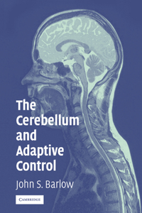 Cerebellum and Adaptive Control