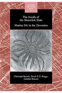 Fossils of the Hunsrück Slate: Marine Life in the Devonian