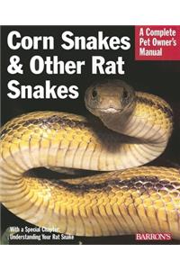 Corn Snakes and Other Rat Snakes