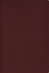Rvr, Biblia de Estudio Trasfondo Cultural, Leathersoft, Rojo Vino, Interior a Color, Comfort Print