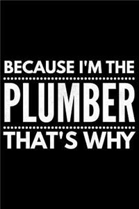 Because I'm the Plumber that's why