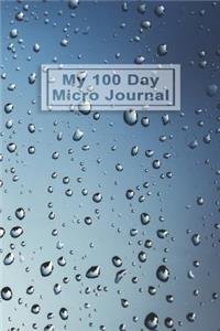 My 100 Day Micro Journal