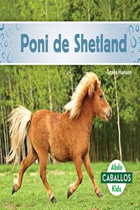 Poni De Shetland/ Shetland Ponies