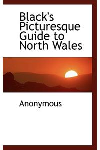 Black's Picturesque Guide to North Wales