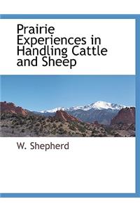 Prairie Experiences in Handling Cattle and Sheep