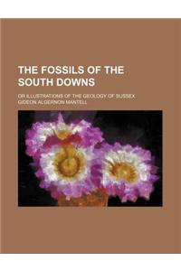 The Fossils of the South Downs; Or Illustrations of the Geology of Sussex