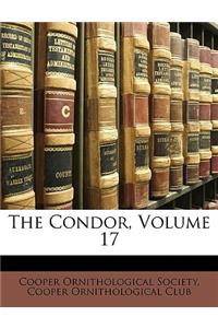 The Condor, Volume 17